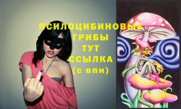шишки Покров