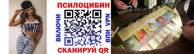 mega ССЫЛКА  где продают наркотики  Североуральск  Псилоцибиновые грибы Psilocybine cubensis 