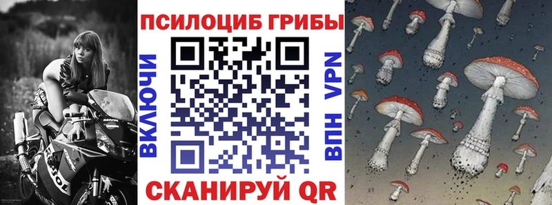 Псилоцибиновые грибы Psilocybe Североуральск