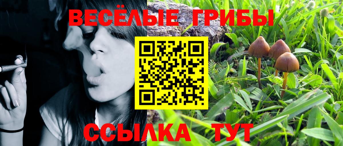 Галлюциногенные грибы ЛСД  Псилоцибиновые грибы Psilocybine cubensis  Североуральск  Вход с VPN 