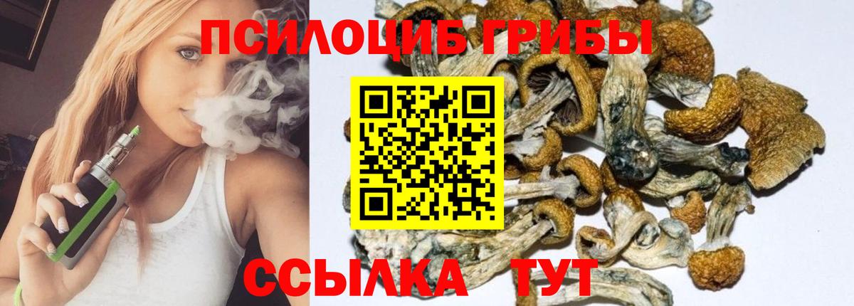 Псилоцибиновые грибы мицелий Североуральск